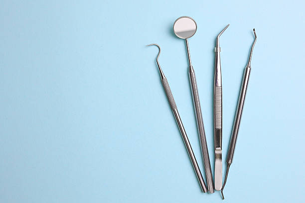 Top rated local Dental specialists in Highland City, FL